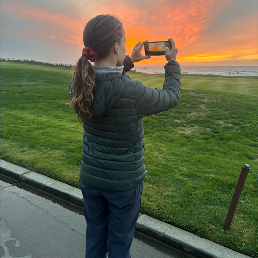 Meet your Posher, Ally